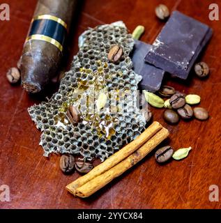 Pyramide olfactive chaude et épicée avec tabac, vanille, chocolat, cannelle, clous de girofle, cardamome, miel, anis étoilé, genévrier et café Banque D'Images