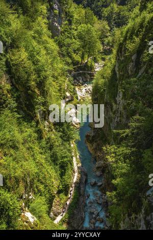 Touristes marchant sur une passerelle en bois sur une rivière turquoise qui coule dans la gorge tolmin en slovénie, entourée d'une végétation luxuriante Banque D'Images