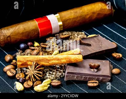 Pyramide olfactive chaude et épicée avec tabac, vanille, chocolat, cannelle, clous de girofle, cardamome, miel, anis étoilé, genévrier et café Banque D'Images