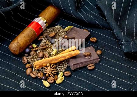 Pyramide olfactive chaude et épicée avec tabac, vanille, chocolat, cannelle, clous de girofle, cardamome, miel, anis étoilé, genévrier et café Banque D'Images