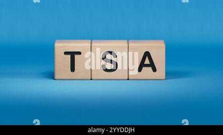 Concept tsa sur cubes en bois.Close up des éléments en bois, Business concept.3D rendu sur fond bleu. Banque D'Images