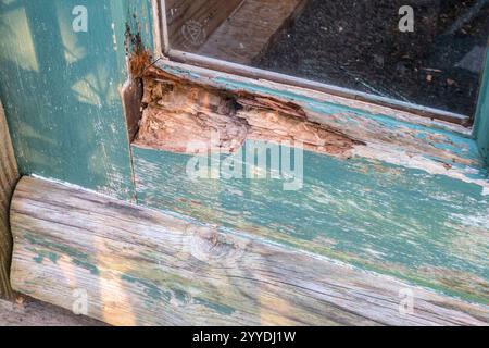 La pénétration d'eau dans une vieille porte en bois non entretenue a causé de graves pourritures et dommages à la fois dans la porte et le cadre Banque D'Images
