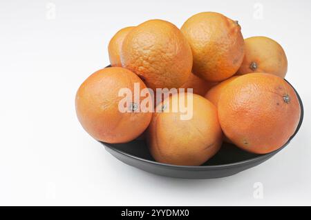 Oranges et mandarines du jardin valencien. Banque D'Images