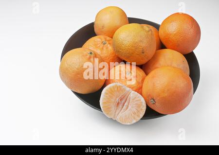 Oranges et mandarines du jardin valencien. Banque D'Images