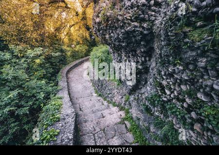 Un sentier de conte de fées à travers un parc verdoyant, avec des marches de pierre et des rochers couverts de mousse, offrant un sentier de randonnée serein au cœur de la nature. Banque D'Images