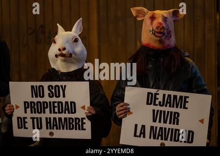 Madrid, Espagne. 21 décembre 2024. Les activistes portant des masques d'animaux tiennent des pancartes lors d'un rassemblement pour les droits des animaux. Des militants pro-animaux de 'animal Save' ont joué à Madrid Puerta del sol avec le slogan : 'Noël : la fête des abattoirs'. (Photo de David Canales/SOPA images/SIPA USA) crédit : SIPA USA/Alamy Live News Banque D'Images
