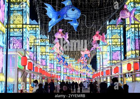 Pékin, la région autonome chinoise de Ningxia hui. 20 décembre 2024. Les gens visitent une foire aux lanternes organisée au China Flower Expo Park à Yinchuan, dans la région autonome de Ningxia hui, au nord-ouest de la Chine, le 20 décembre 2024. Crédit : Wang Peng/Xinhua/Alamy Live News Banque D'Images