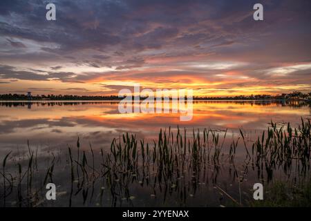 Incroyable nature de Floride. Coucher de soleil sur l'eau du lac dans les zones humides tropicales du sud. Banque D'Images