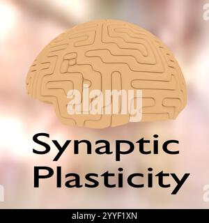 Illustration 3D d'un cerveau humain, intitulée plasticité synaptique. Banque D'Images