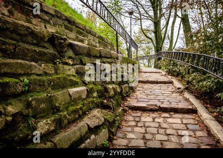 Un mur de pierre avec un escalier de pierre qui y mène. Le mur est recouvert de mousse et les marches sont en pavé Banque D'Images