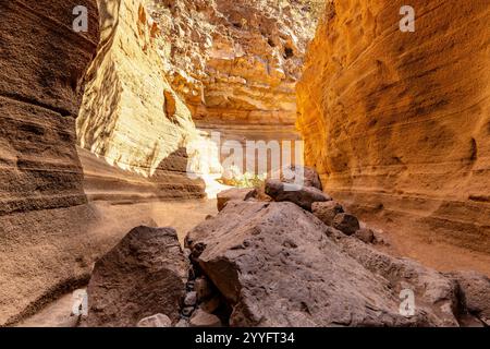 Un canyon étroit avec un gros rocher au milieu. Le canyon est entouré de rochers et a beaucoup de soleil Banque D'Images