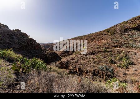 Un paysage rocheux et aride avec quelques arbres et buissons. Le ciel est clair et bleu. La scène est désolée et solitaire Banque D'Images