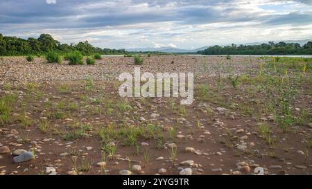 Tambopata, Pérou - 25 novembre 2024 : paysages de la forêt amazonienne le long de la rivière Tambopata Banque D'Images