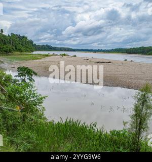 Tambopata, Pérou - 25 novembre 2024 : paysages de la forêt amazonienne le long de la rivière Tambopata Banque D'Images