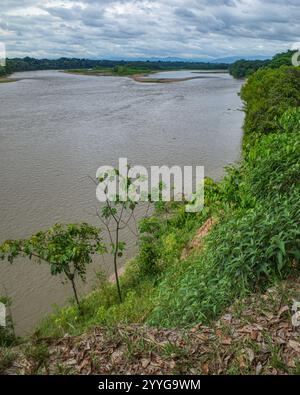 Tambopata, Pérou - 25 novembre 2024 : paysages de la forêt amazonienne le long de la rivière Tambopata Banque D'Images