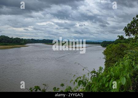 Tambopata, Pérou - 25 novembre 2024 : paysages de la forêt amazonienne le long de la rivière Tambopata Banque D'Images