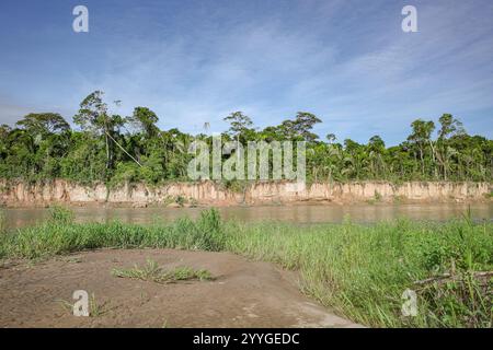 Tambopata, Pérou - 25 novembre 2024 : paysages de la forêt amazonienne le long de la rivière Tambopata Banque D'Images