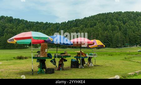 Khajjiar, souvent surnommée la «Mini Suisse de l'Inde», est une station de montagne pittoresque nichée sur les genoux de l'Himalaya dans l'Himachal Pradesh Banque D'Images