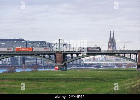 Train de marchandises sur le Suedbruecke (pont Sud), vue sur le port de Rheinau avec les maisons de grues et la cathédrale, Cologne, Allemagne. Gueterzug au Banque D'Images