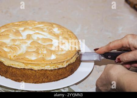 Assiette blanche avec délicieuse tarte aux pommes maison sur fond blanc. Banque D'Images