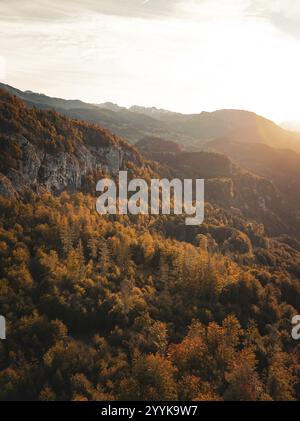 Forêt d'automne dense sur les collines, illuminée par le coucher du soleil en arrière-plan, Meiringen, Suisse, Europe Banque D'Images