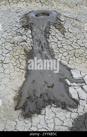 Volcans de boue, volcan, boue, Géorgie, Asie Banque D'Images