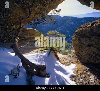 Une vue depuis une aire de repos le long de la General Hitchcock Highway jusqu'au Mt Lemmon dans les montagnes Santa Catalina, Tucson, Arizona. Banque D'Images