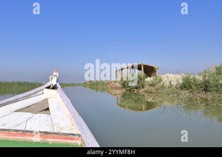 Une maison de roseaux traditionnelle dans les marais d'irak près de Chibayish, Chabaish, Nasiriya Banque D'Images