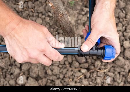 Fixation et raccordement de tuyaux HDPE avec un raccord. Un homme installe un système d'irrigation goutte à goutte automatique pour son jardin. Banque D'Images