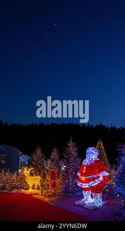 Sapins, figurine de cerf, trône et figurine de Père Noël décorés d'illuminations colorées de Noël lumineuses sous un ciel bleu étoilé. Banque D'Images