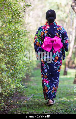 Femme japonaise portant un kimono marchant le long du chemin seul à sa destination prévue femme apanaise portant un kimono marchant le long du chemin est le concept de Banque D'Images