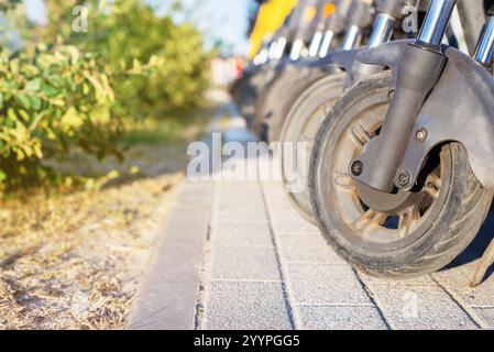 La roue avant d'un scooter électrique jaune. Scooters électriques jaunes à partage de coups de pied. Scooters électriques jaune vif à louer stand dans le parc de la ville. Banque D'Images