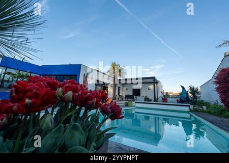 photo réaliste design moderne pergola bioclimatique avec lattes en aluminium qui se trouve près d'une maison moderne avec piscine , avec salle à manger , riche en Banque D'Images