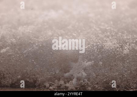 palette pantone. Flocons de neige naturels sur neige. Photo de vrais flocons de neige lors d'une chute de neige, dans des conditions naturelles à basse température. Image macro de Banque D'Images