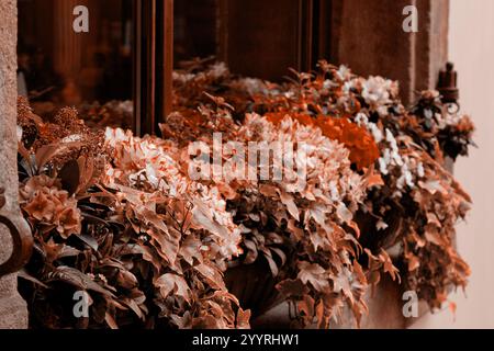 Prague. 05.10.2019 : boîte à fleurs magnifiquement agencée débordant de fleurs roses, rouges et blanches, ornée d'un feuillage vert luxuriant. Fleurs contre rusti Banque D'Images