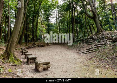 Un chemin à travers une forêt avec une série de bancs de pierre le long du chemin. Les bancs sont vides et le chemin est couvert de feuilles Banque D'Images