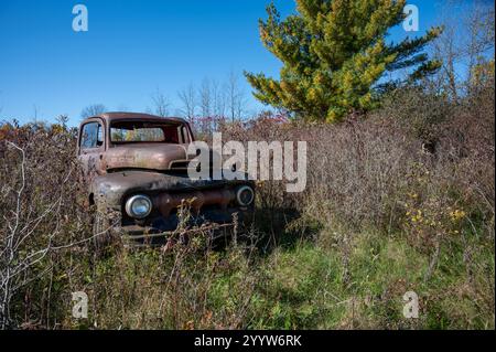 Vieille camionnette Dodge stationnée en permanence dans un champ Banque D'Images