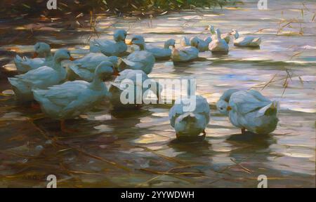 Canards dans un étang par Alexander Koester. Banque D'Images
