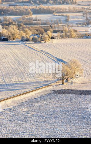 Route de campagne sur les champs enneigés avec des arbres givrés dans un paysage rural hivernal Banque D'Images