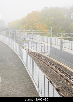 Au cœur de Gothenburg, les voies ferrées disparaissent dans un épais brouillard enveloppant les environs, créant une vue d'ambiance. Arbres d'automne dynamiques ad Banque D'Images