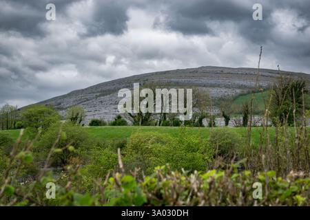 Le Burren magnifique paysage karstique en Irlande Une merveille géologique avec des formations rocheuses uniques et des fleurs sauvages vibrantes dans le comté de Clare Banque D'Images