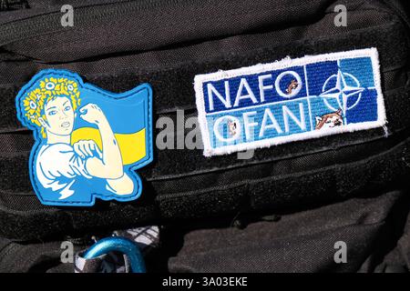 Whitehall, Londres, Royaume-Uni. 2 mars 2025. Manifestation pour l'Ukraine sur Whitehall. Credit : Matthew Chattle/Alamy Live News Banque D'Images