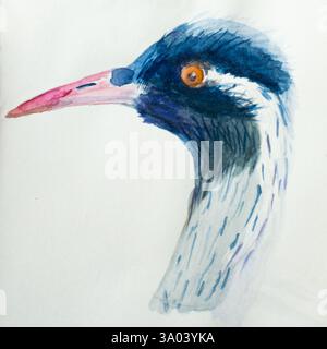 Aquarelle. Illustration de héron bleu et blanc avec bec rouge. Fond blanc Banque D'Images