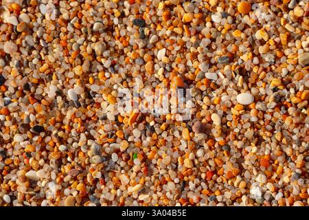 Belle texture de sable de plage grossier. Image d'arrière-plan sur le thème de la plage. Sable de plage humide de grande fraction. Banque D'Images