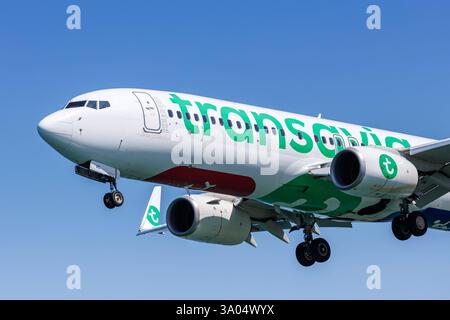 Transavia France Boeing 737-800 Flugzeug Flughafen Korfu in Griechenland Korfu, Griechenland - 7. Juni 2024 : Ein Boeing 737-800 Flugzeug der Transavia France mit dem Kennzeichen F-HTVC auf dem Flughafen Korfu CFU in Griechenland. *** Transavia France Boeing 737 800 Aéroport de Corfou en Grèce Corfou, Grèce 7 juin 2024 Un Boeing 737 800 De Transavia France immatriculé F HTVC à l'Aéroport CFU de Corfou en Grèce Banque D'Images