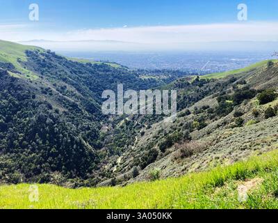 Une végétation dense recouvre les pentes d'Alum Rock Park, offrant une vue panoramique sur l'étendue urbaine de San José bordée par des chaînes de montagnes lointaines. Banque D'Images