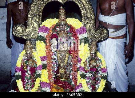 Divinité Urchava du temple varadarajaswamy avec consorts, Kanchipuram, Tamil Nadu, Inde, Asie Banque D'Images
