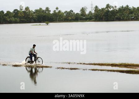 Homme à vélo passant par la route couverte d'eau en raison de la mousson, Alappuzha Alleppey, Kerala, Inde, Asie Banque D'Images