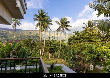 Vue sereine depuis un balcon présentant une végétation tropicale luxuriante, de grands palmiers et des montagnes lointaines sous un ciel bleu clair, véhiculant un calme Banque D'Images