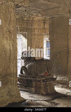 Statue de Nandi dans la caverne taillée dans la roche de Pataleshwar temple shiva sculpté au huitième siècle à Pune, Maharashtra, Inde, Asie Banque D'Images